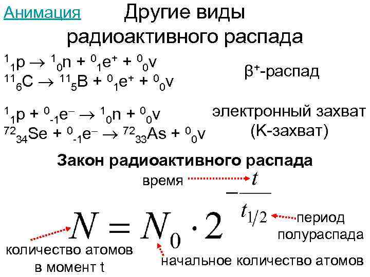 Другие виды радиоактивного распада Анимация p 10 n + 01 e+ + 00ν 1