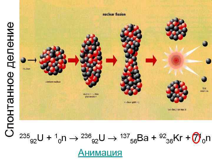 Спонтанное деление 235 U + 10 n 23692 U 13756 Ba + 9236 Kr