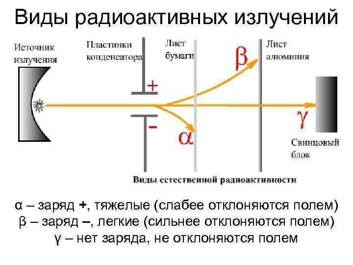 Виды радиоактивных излучений α – заряд +, тяжелые (слабее отклоняются полем) β – заряд