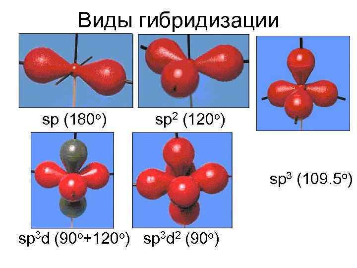 Виды гибридизации sp (180 o) sp 2 (120 o) sp 3 (109. 5 o)