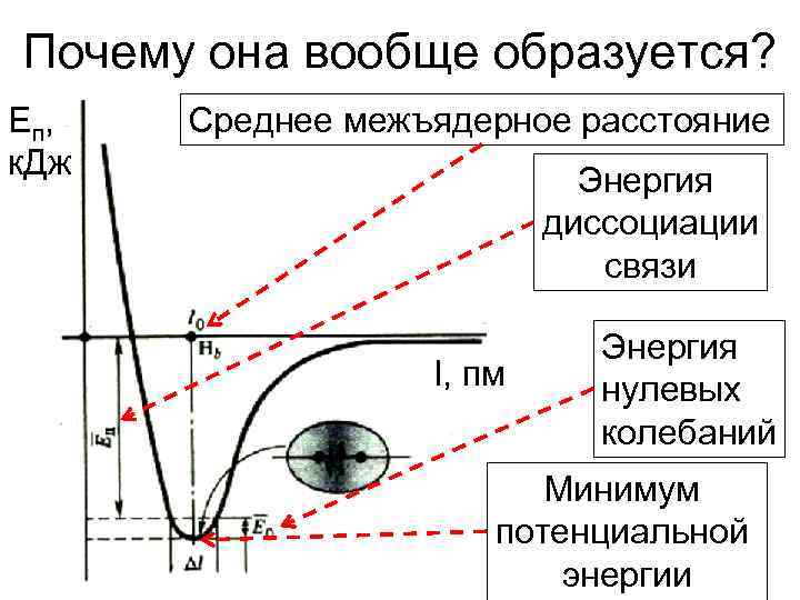 Почему она вообще образуется? E п, к. Дж Среднее межъядерное расстояние Энергия диссоциации связи