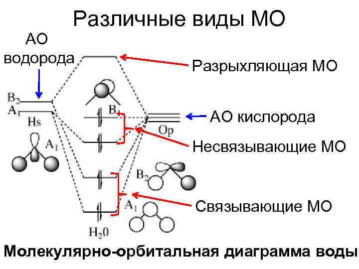 Орбитальная диаграмма молекулы