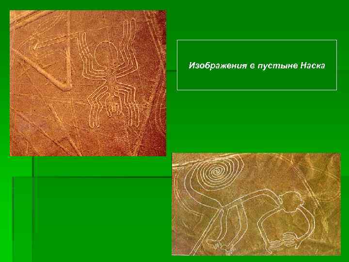 Изображения в пустыне Наска 