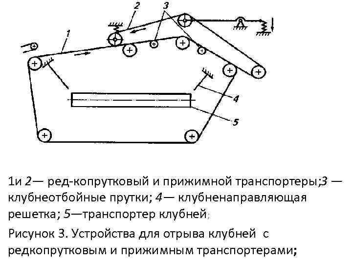 1 и 2— ред копрутковый и прижимной транспортеры; — 3 клубнеотбойные прутки; 4— клубненаправляющая