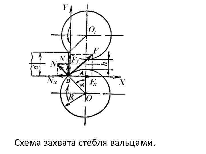 Схема захвата стебля вальцами. 