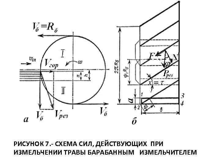 РИСУНОК 7. СХЕМА СИЛ, ДЕЙСТВУЮЩИХ ПРИ ИЗМЕЛЬЧЕНИИ ТРАВЫ БАРАБАННЫМ ИЗМЕЛЬЧИТЕЛЕМ 