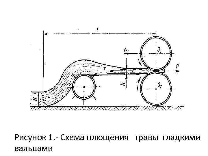 Рисунок 1. Схема плющения травы гладкими вальцами 