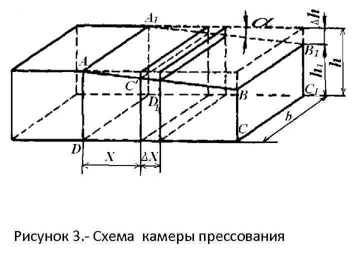 Кожи на лицевую сторону которых нанесен прессованием рисунок имитирующий мерею