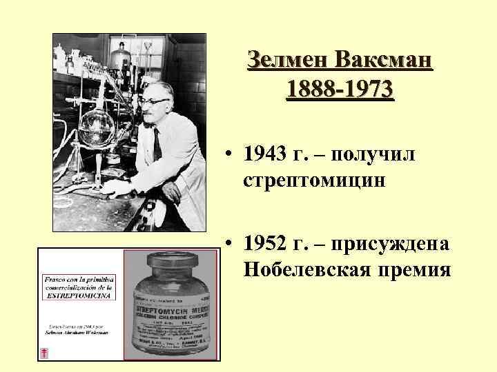 Зелмен Ваксман 1888 -1973 • 1943 г. – получил стрептомицин • 1952 г. –