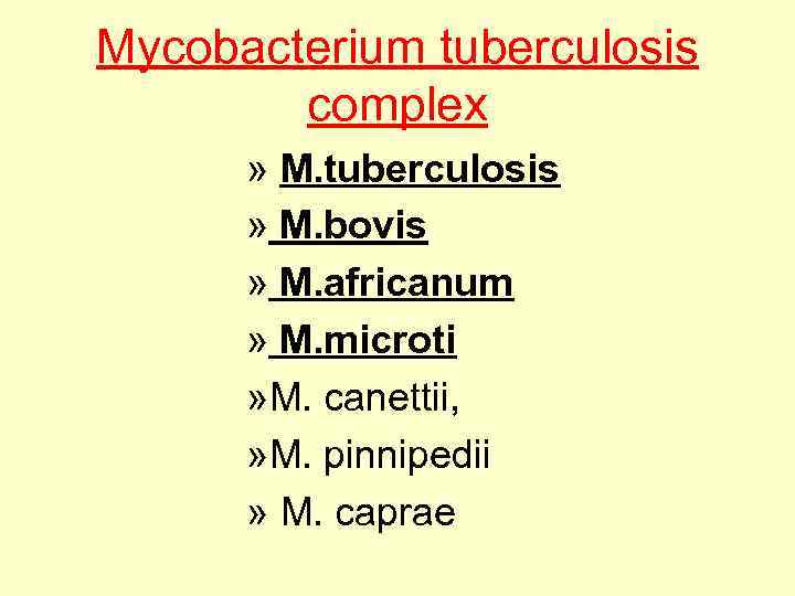 Mycobacterium tuberculosis complex » M. tuberculosis » M. bovis » M. africanum » M.