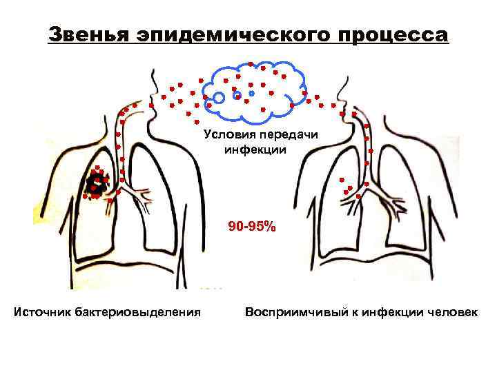 Звенья эпидемического процесса Условия передачи инфекции 90 -95% Источник бактериовыделения Восприимчивый к инфекции человек