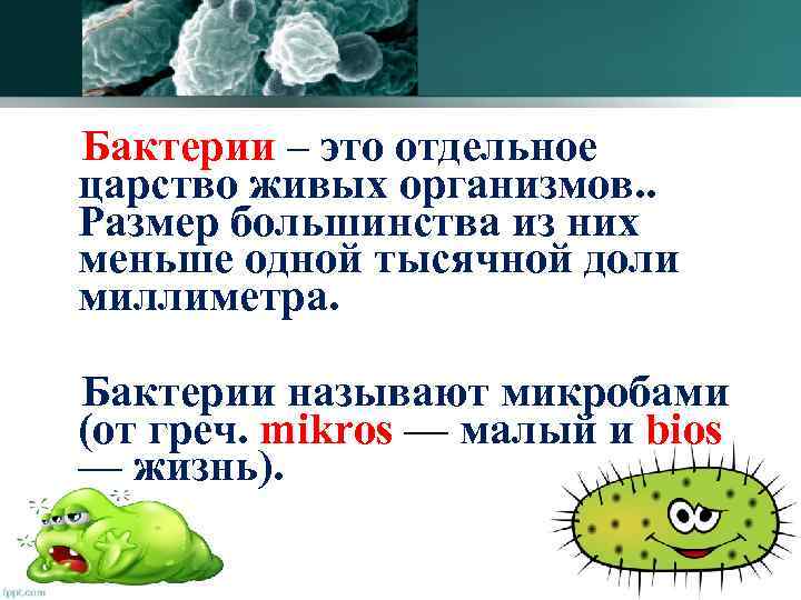  Бактерии – это отдельное царство живых организмов. . Размер большинства из них меньше