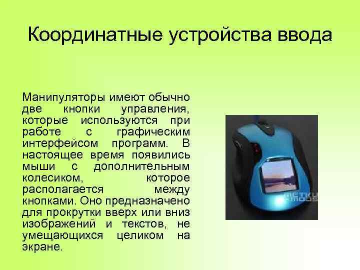 Координатные устройства ввода Манипуляторы имеют обычно две кнопки управления, которые используются при работе с