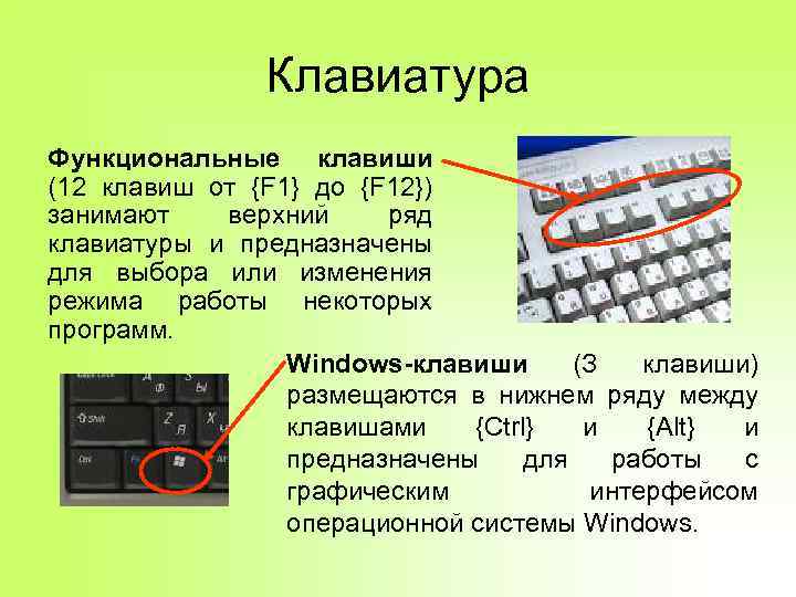 Клавиатура Функциональные клавиши (12 клавиш от {F 1} до {F 12}) занимают верхний ряд