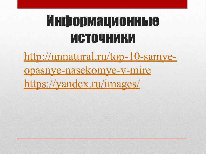 Информационные источники http: //unnatural. ru/top-10 -samyeopasnye-nasekomye-v-mire https: //yandex. ru/images/ 