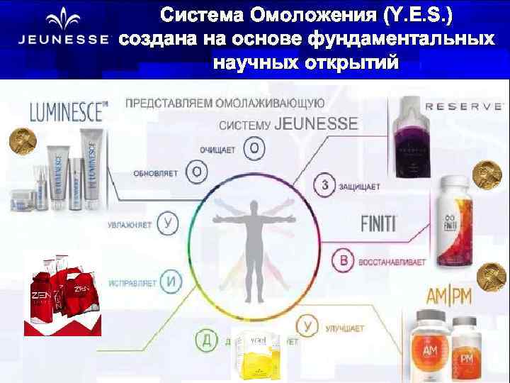 Система Омоложения (Y. E. S. ) создана на основе фундаментальных научных открытий 