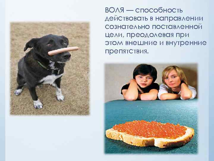 ВОЛЯ — способность действовать в направлении сознательно поставленной цели, преодолевая при этом внешние и