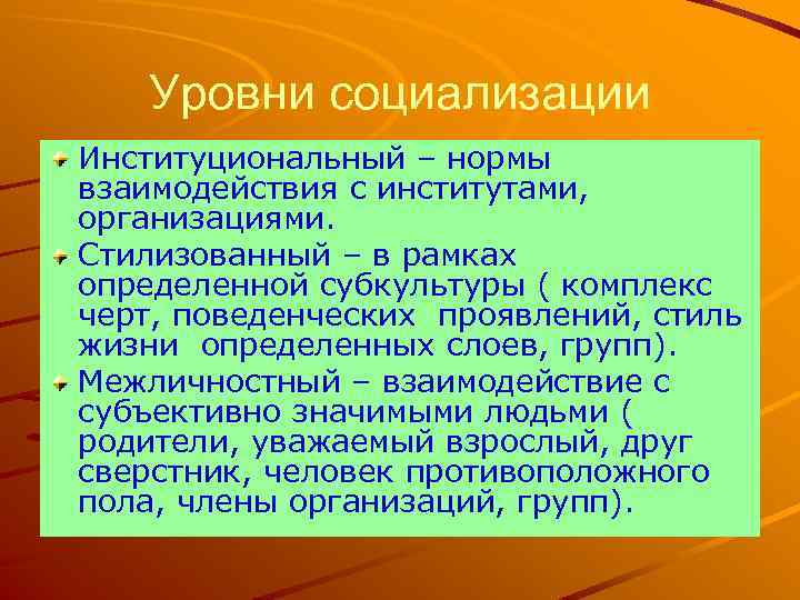 Уровни социализации Институциональный – нормы взаимодействия с институтами, организациями. Стилизованный – в рамках определенной