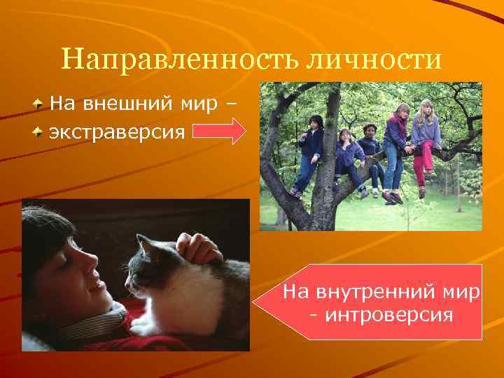 Направленность личности На внешний мир – экстраверсия На внутренний мир - интроверсия 