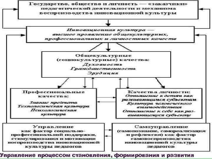 Управление процессом становления, формирования и развития 