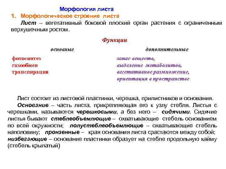 Морфология листа 1. Морфологическое строение листа Лист – вегетативный боковой плоский орган растения с