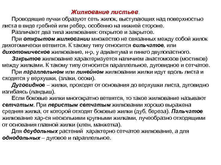 Жилкование листьев. Проводящие пучки образуют сеть жилок, выступающих над поверхностью листа в виде гребней