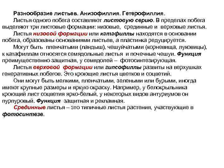 Разнообразие листьев. Анизофиллия. Гетерофиллия. Листья одного побега составляют листовую серию. В пределах побега выделяют