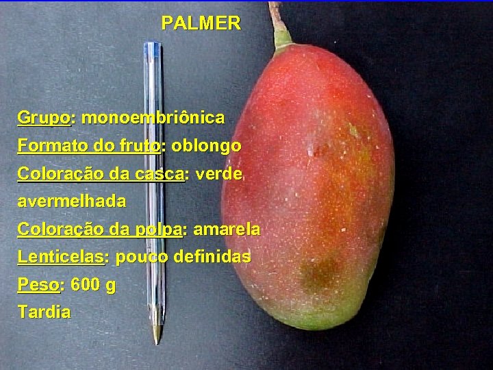 PALMER Grupo: monoembriônica Formato do fruto: oblongo Coloração da casca: verde avermelhada Coloração da