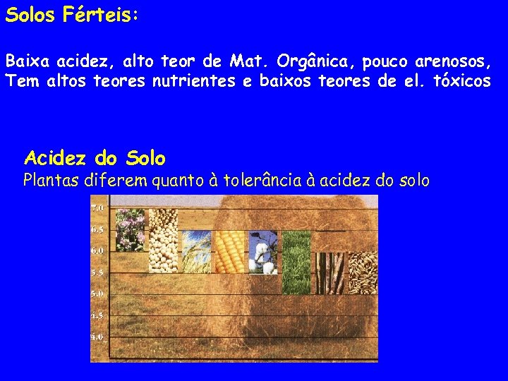 Solos Férteis: Baixa acidez, alto teor de Mat. Orgânica, pouco arenosos, Tem altos teores