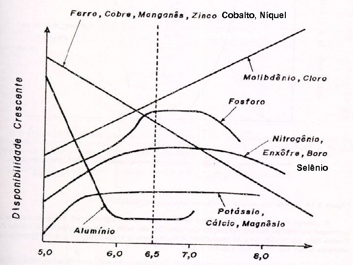 , Cobalto, Níquel Selênio 