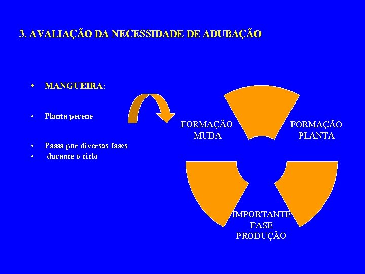 3. AVALIAÇÃO DA NECESSIDADE DE ADUBAÇÃO • MANGUEIRA: • Planta perene • • Passa