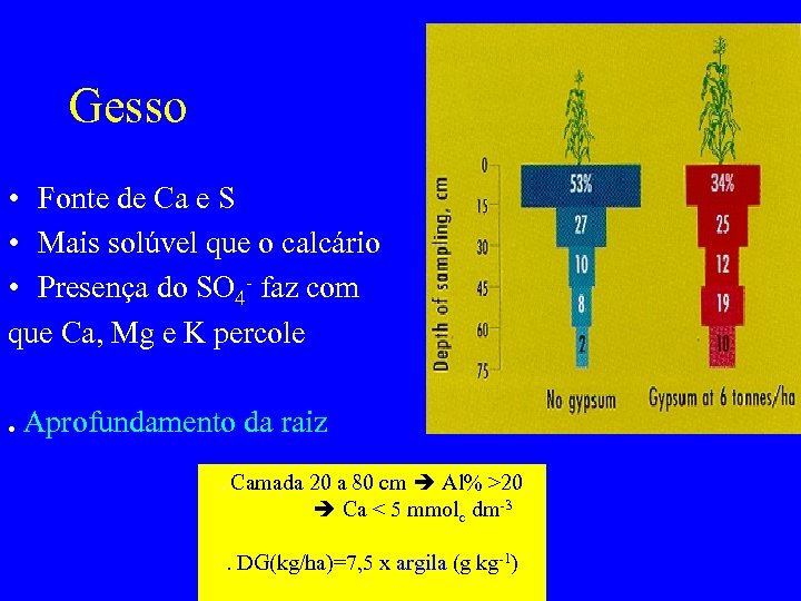 Gesso • Fonte de Ca e S • Mais solúvel que o calcário •