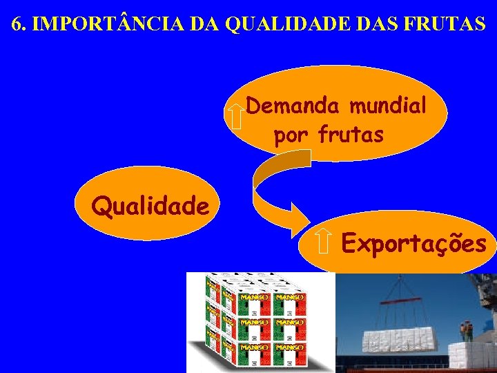 6. IMPORT NCIA DA QUALIDADE DAS FRUTAS Demanda mundial por frutas Qualidade Vida Pós-colheita