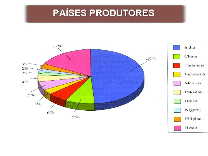 PAÍSES PRODUTORES 