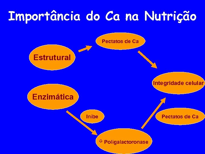 Importância do Ca na Nutrição Pectatos de Ca Estrutural Integridade celular Enzimática Pectatos de