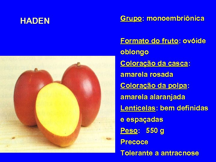 HADEN Grupo: monoembriônica Formato do fruto: ovóide oblongo Coloração da casca: amarela rosada Coloração