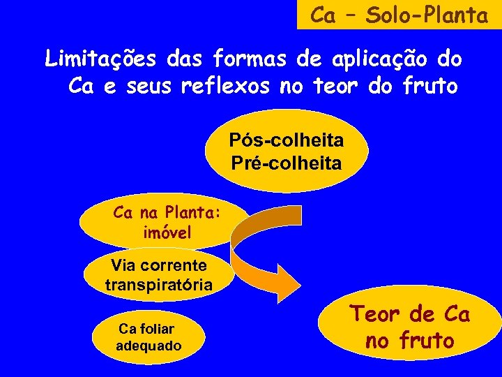 Ca – Solo-Planta Limitações das formas de aplicação do Ca e seus reflexos no