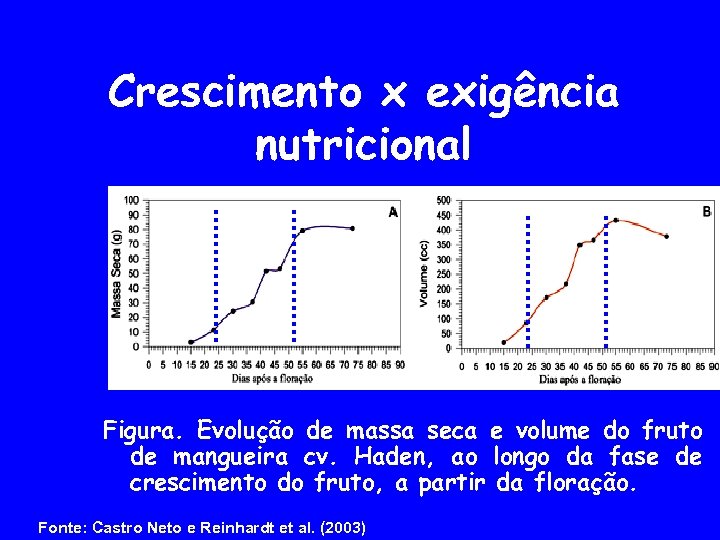 Crescimento x exigência nutricional Figura. Evolução de massa seca e volume do fruto de