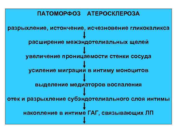 ПАТОМОРФОЗ АТЕРОСКЛЕРОЗА разрыхление, истончение, исчезновение гликокаликса расширение межэндотелиальных щелей увеличение проницаемости стенки сосуда усиление