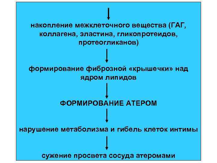 накопление межклеточного вещества (ГАГ, коллагена, эластина, гликопротеидов, протеогликанов) формирование фиброзной «крышечки» над ядром липидов