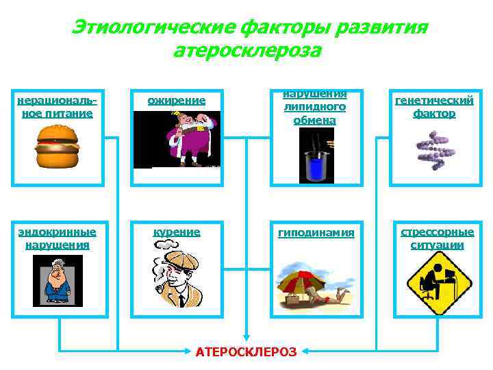 Этиологические факторы развития атеросклероза нерациональное питание ожирение эндокринные нарушения курение нарушения липидного обмена генетический