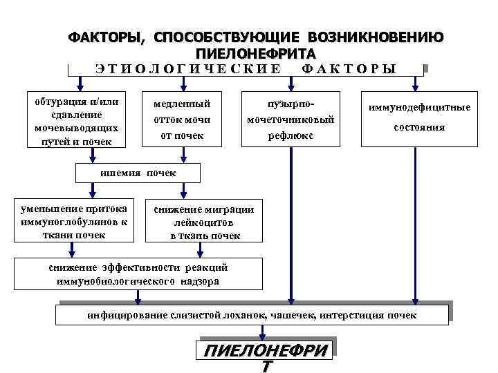 ФАКТОРЫ, СПОСОБСТВУЮЩИЕ ВОЗНИКНОВЕНИЮ ПИЕЛОНЕФРИТА ЭТИОЛОГИЧЕСКИЕ ФАКТОРЫ обтурация и/или сдавление мочевыводящих путей и почек медленный