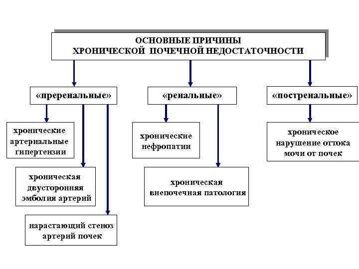 ОСНОВНЫЕ ПРИЧИНЫ ХРОНИЧЕСКОЙ ПОЧЕЧНОЙ НЕДОСТАТОЧНОСТИ «преренальные» хронические артериальные гипертензии хроническая двусторонняя эмболия артерий нарастающий