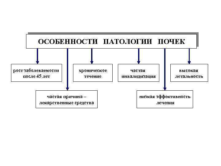 ОСОБЕННОСТИ ПАТОЛОГИИ ПОЧЕК рост заболеваемости после 45 лет хроническое течение частая причина – лекарственные