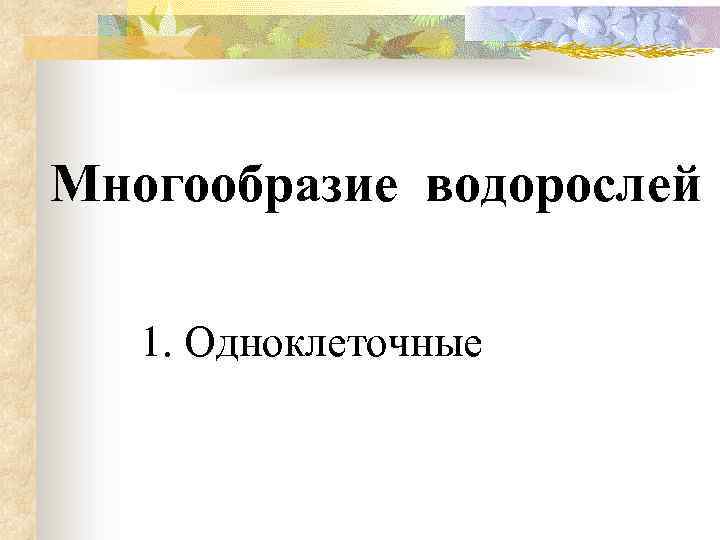Многообразие водорослей 1. Одноклеточные 