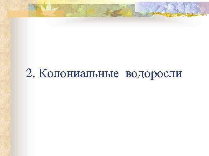 2. Колониальные водоросли 
