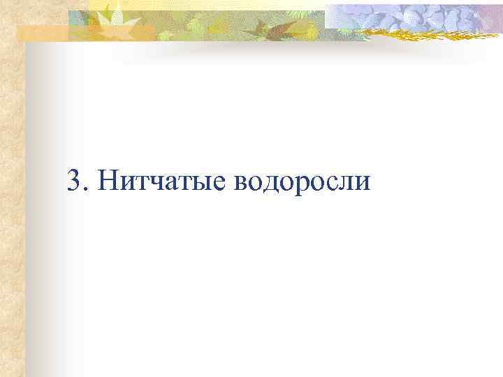 3. Нитчатые водоросли 
