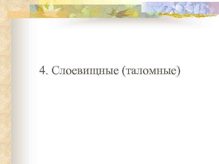 4. Слоевищные (таломные) 
