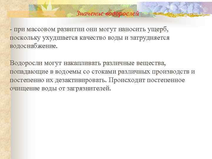 Значение водорослей - при массовом развитии они могут наносить ущерб, поскольку ухудшается качество воды