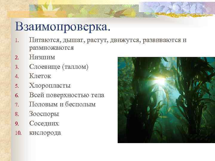 Взаимопроверка. 1. 2. 3. 4. 5. 6. 7. 8. 9. 10. Питаются, дышат, растут,